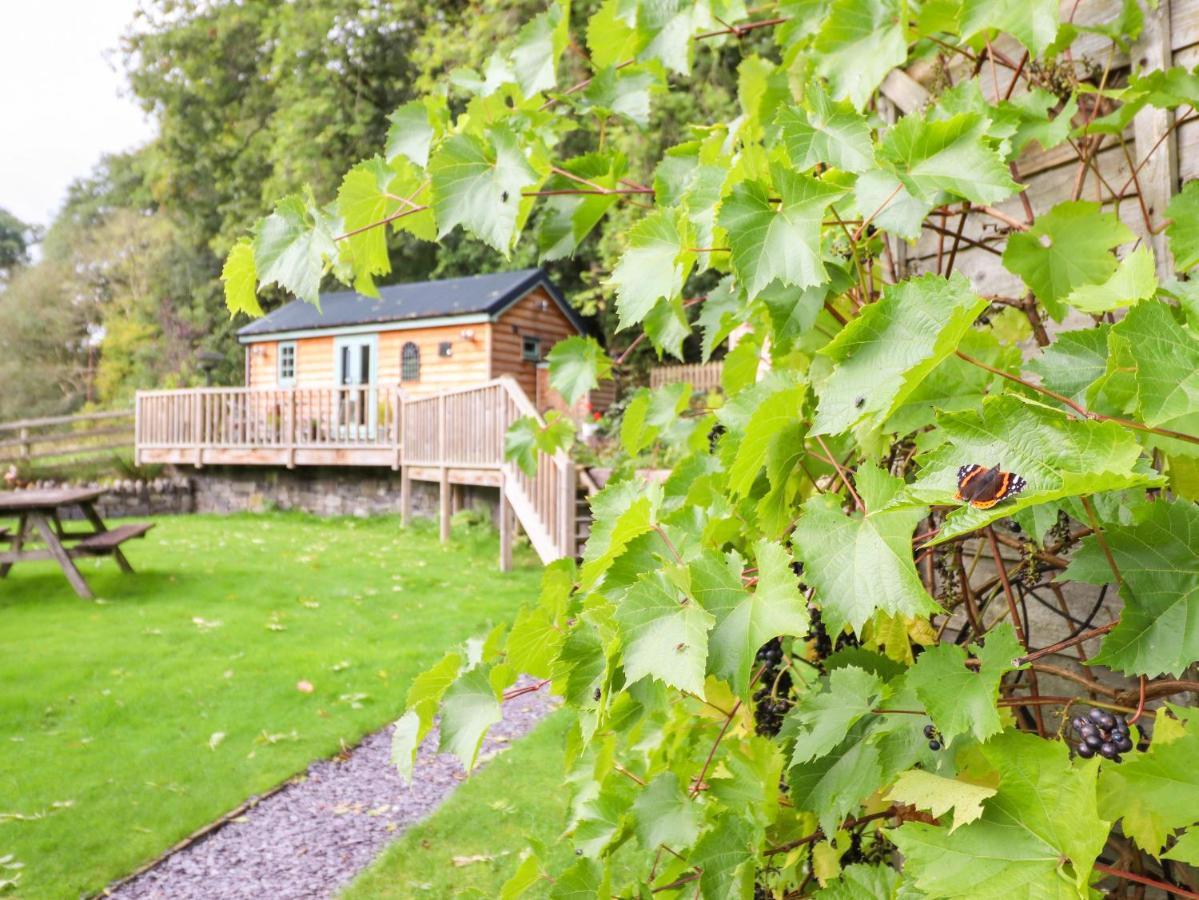 Chateau Petit Caersws Exterior foto